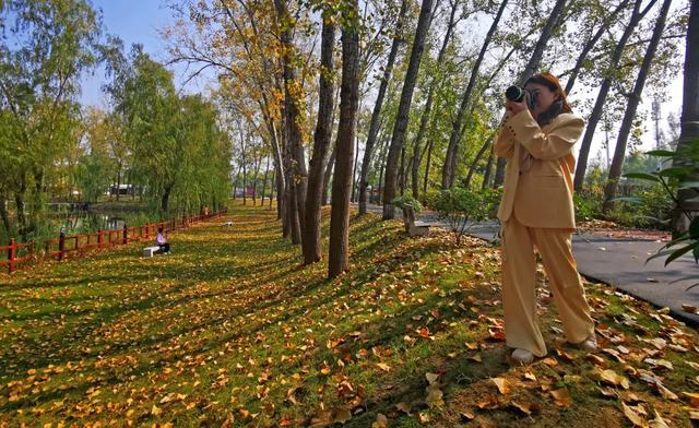 秋去冬来,邀您看红荷湿地的层林尽染,落叶如诗~~~