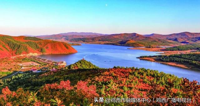 【镜头里的鸡西】鸡西这些“勾魂”美景，美到窒息！你打卡过几个？