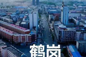 “白菜房价”鹤岗，曾经五万一套，现在三折都卖不出去？图片