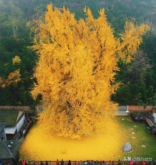 山东糊涂啊，日照4个独一无二的景点，赶快宣传吧！