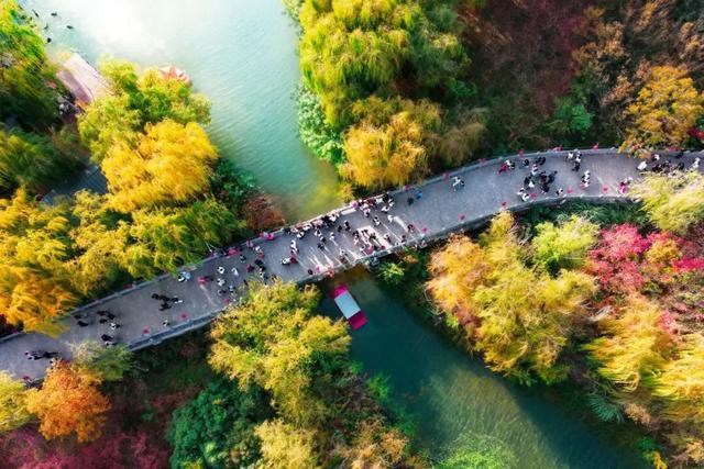 此刻，随手拍洛阳，美景如画！