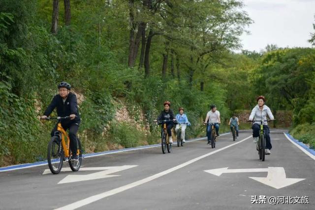 千辆单车免费骑？运动康养双赢的秘密在这里
