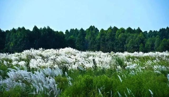 新津冬日徒步，看这里……