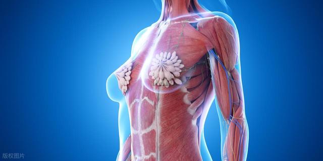 乳房总胀痛、摸到硬块？或许是3种常见乳腺疾病发出的信号