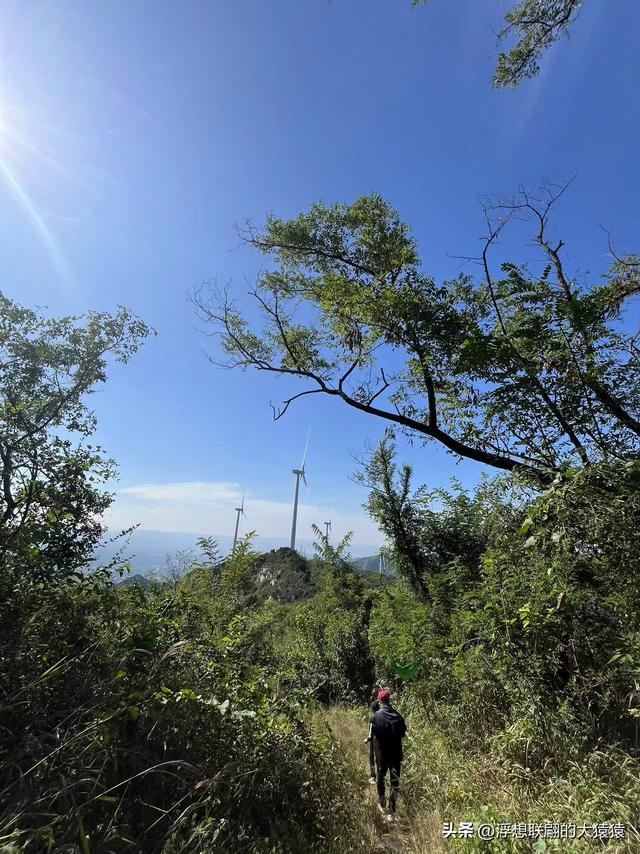 我，终于登上了岳阳山之巅！（博山登山记）