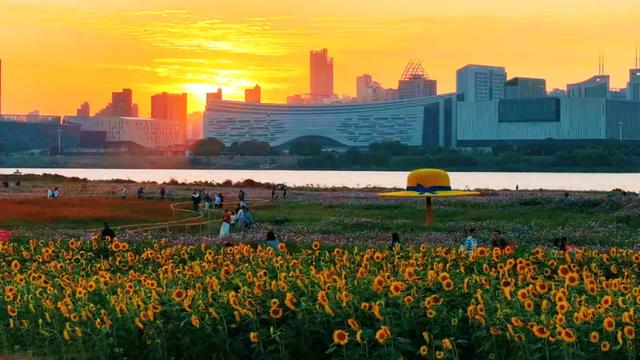 秋日来龙沙湾怎么玩?这份游玩攻略请收好