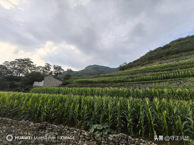 道宝河的冷暖