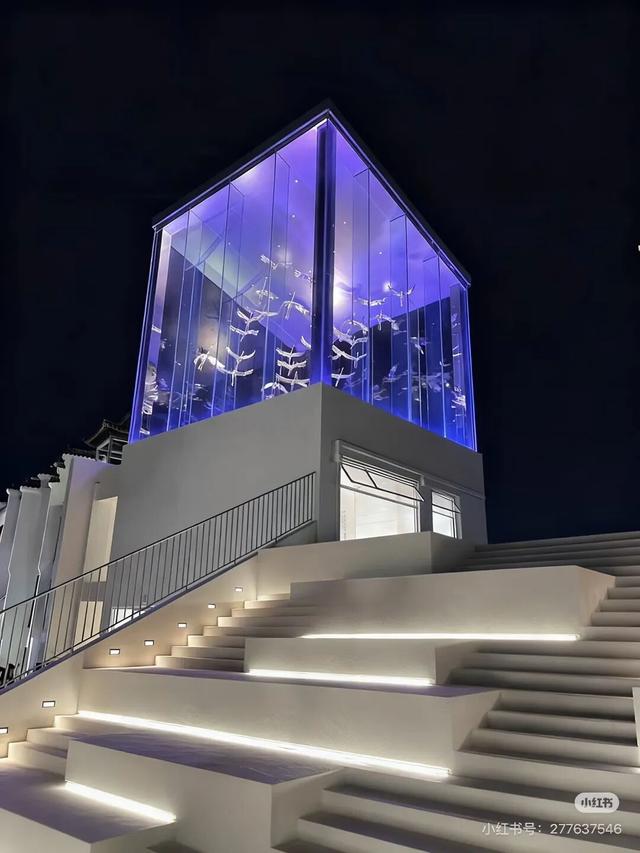 免费！肇庆又一网红新地标，火爆亮相！就在……