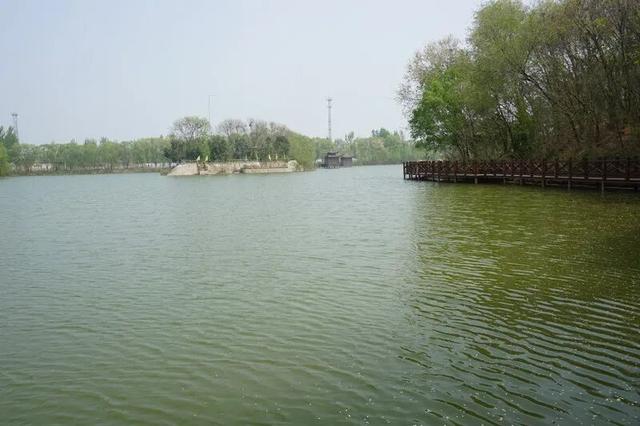 穿越百年时光，到阳谷景阳冈做一回“武松”