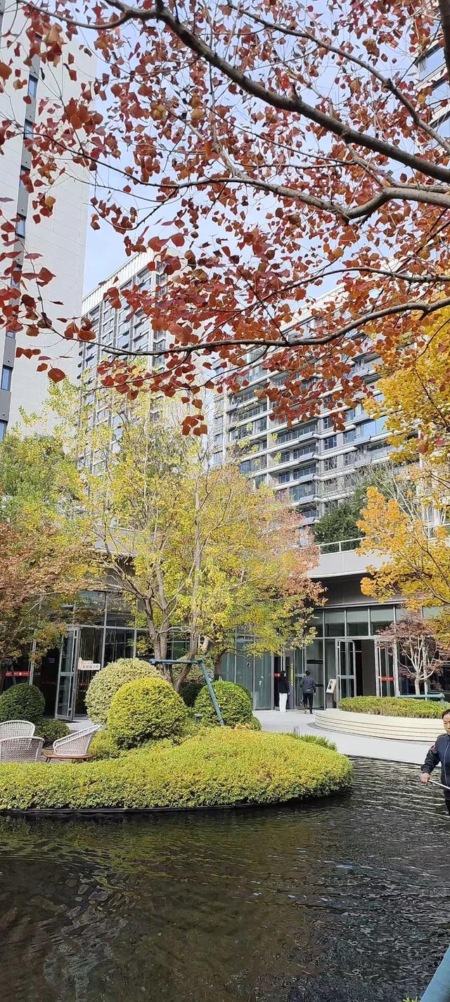 寻美薛城丨这里风景独好！美景尽收眼底，凭“颜值”出圈的社区美景！