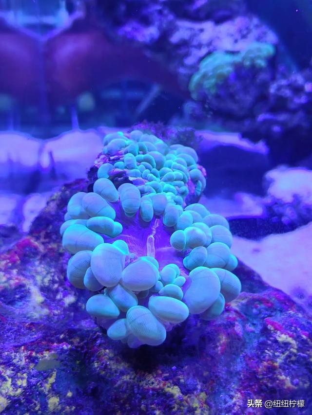 周末，带孩子到商场里的海洋世界玩一玩