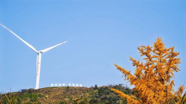 2026元旦打卡地图！全市景区活动集锦，一键解锁→