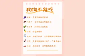这些东西狗狗不能乱吃，一定要牢记图片