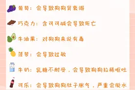 这些东西狗狗不能乱吃，一定要牢记图片