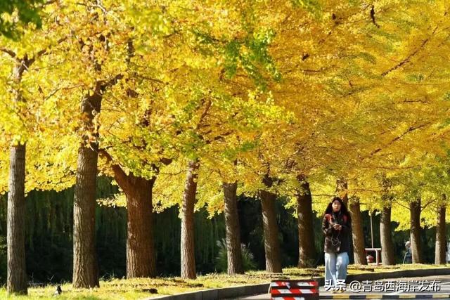 好！多！颜！色！啊！