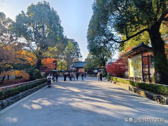 【实地直击】过度旅游真的缓解了？探访中国人身影消失后的京都