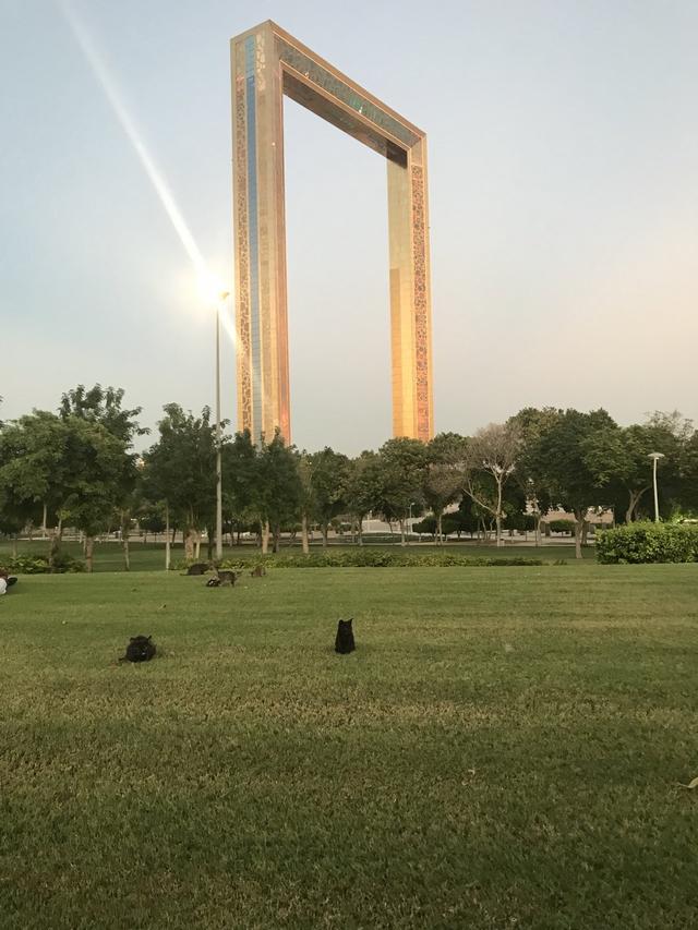 有什么是去了迪拜才知道的？