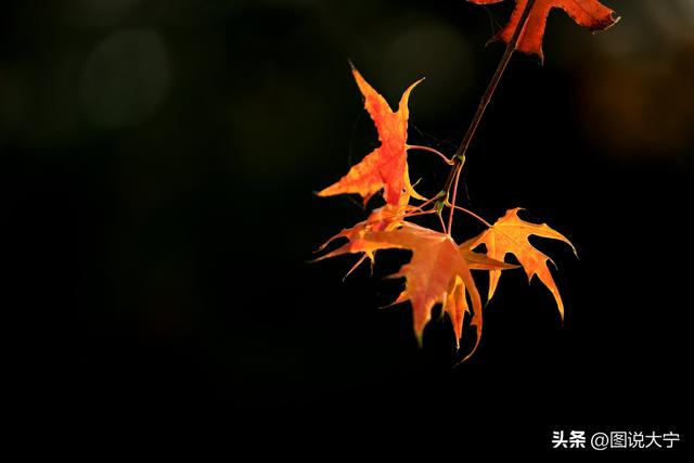 深秋时节，临汾有个富有诗意的好地方！