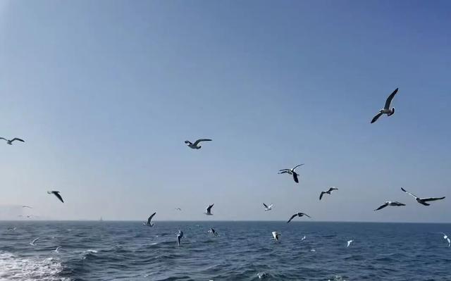 14岁俩小孩哥独自勇闯青岛！爬崂山看海景坐游船吃海鲜，用运动相机、无人机拍vlog