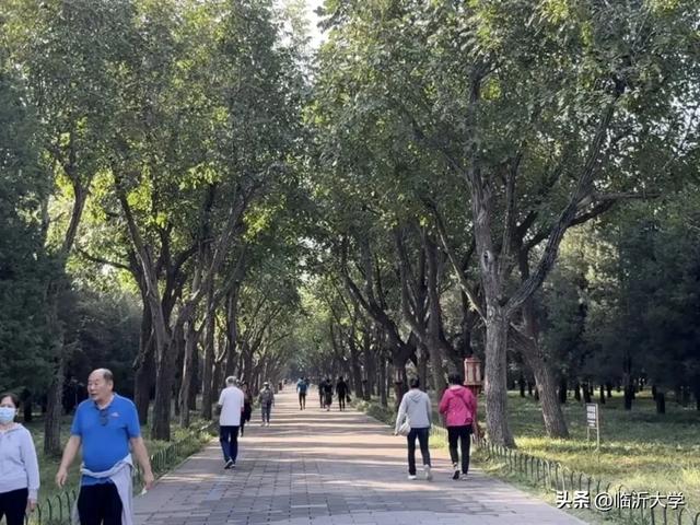 这个假期，LYUers怎么过?