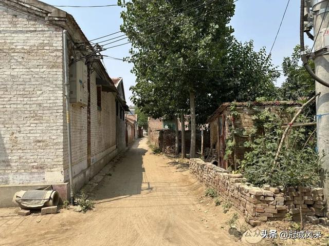 冠县乡韵·柳林镇三里屯村
