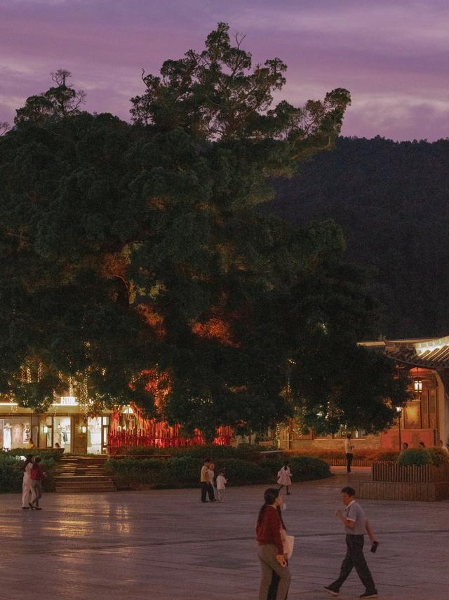 这个冷门赣南小镇，一到秋天满是橙香🍊