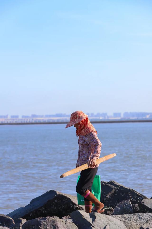 赶海、寻趣！来丰泽打卡这一抹海天蓝！