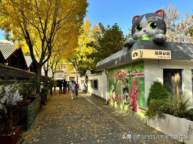 公园景区秋色图鉴，这几处必打卡