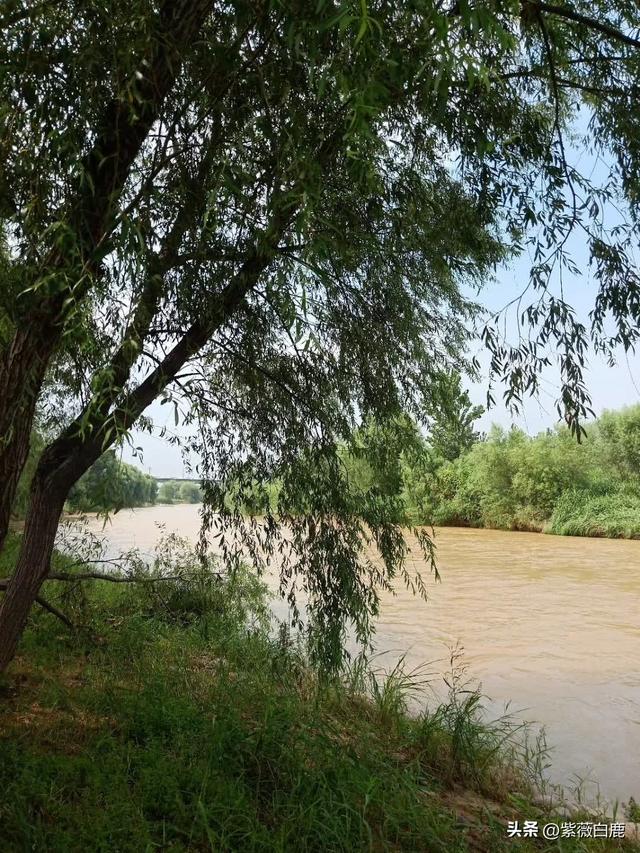 灞桥——这水，这柳