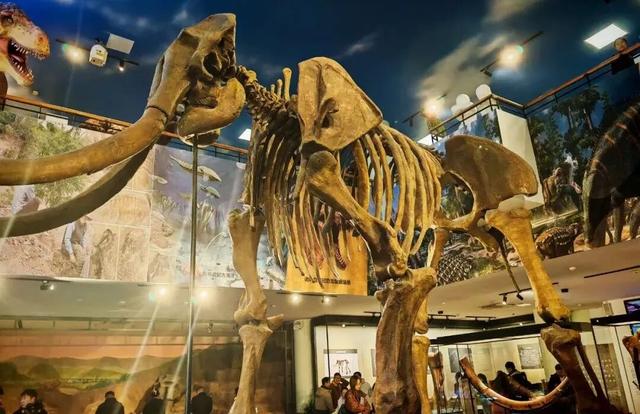 出发，向潍坊！这个冬天总有一种玩法你会心动