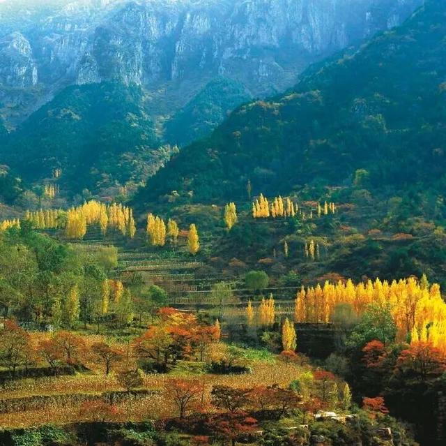 河南秋天自驾天花板，古村落+挂壁，彩画感不输川西，错过等一年