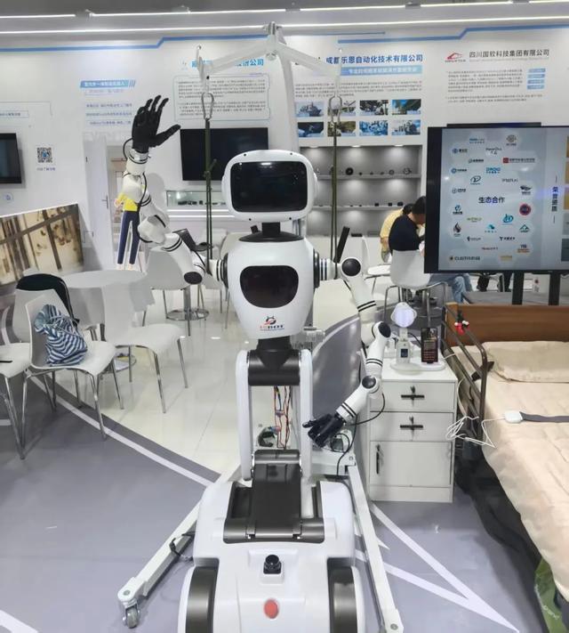 2025世界机器人大会在京开幕！两款“温江造”康养机器人首发亮相