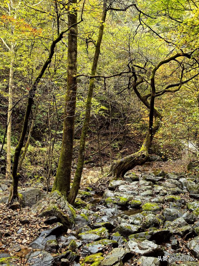 2025辽宁赏秋之旅日记(2)——游览丹东蒲石河森林公园