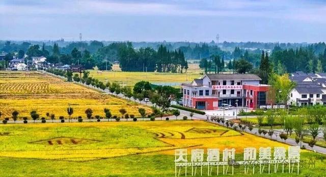 月是蜀州明——国庆中秋出游，一条攻略，玩转崇州！