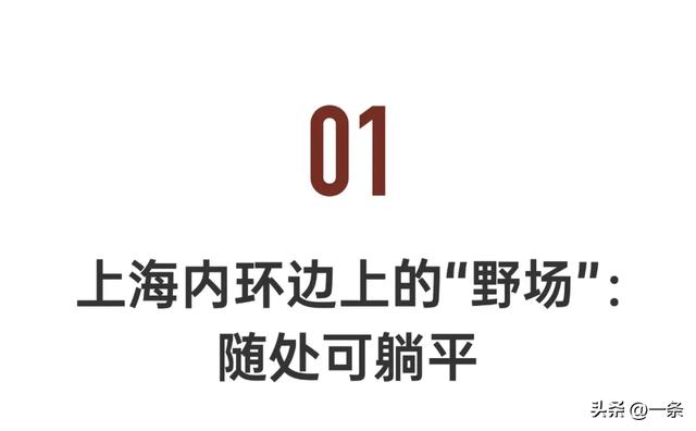 亲历行业寒冬，上海夫妻在老小区一楼改出80m²野地：治愈自己
