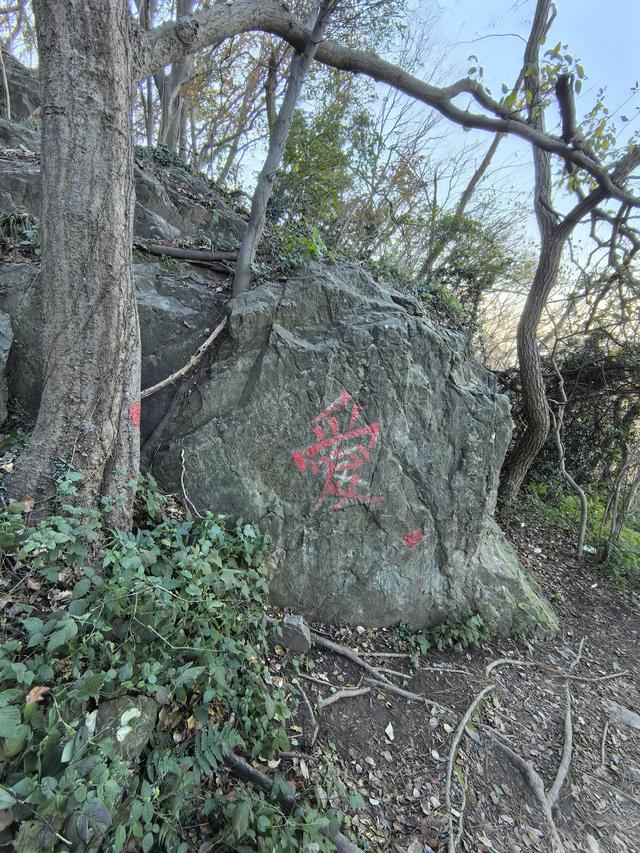 南京紫金山郊野徒步