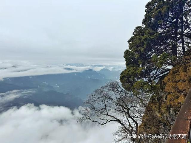 川陕交界之行采风：米仓山层林尽染、金牛道寻古探险