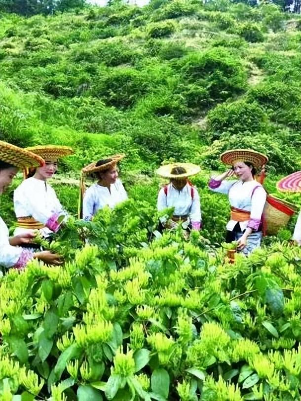 秋冬遛娃“药”新鲜！能吃能玩还能“养”，这条游玩路线一站式拿捏