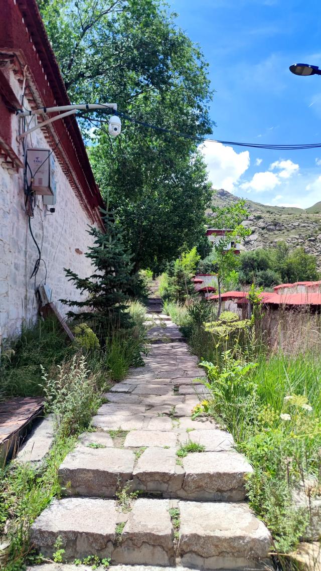 两登拉萨色拉寺后山，上升600米，山顶海拔4200米，经幡飘扬