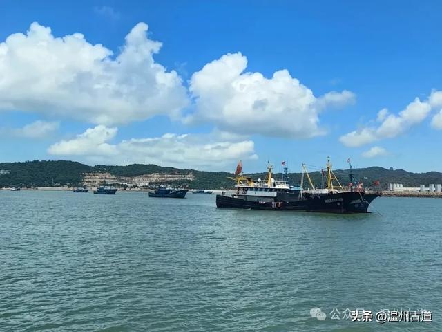 十一哪里玩？温州这个宝藏沙滩不仅是亲子游好去处，还可出海打鱼