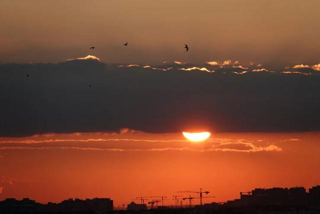 塞尔维亚，一座被轰炸过78天的城市的新生，贝尔格莱德一日游记