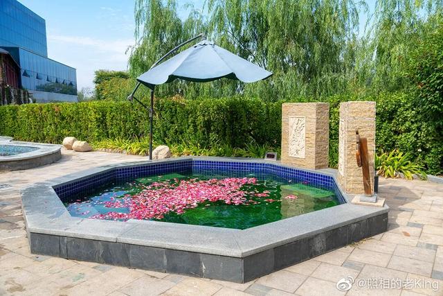 中医药、温泉、养生阿胶，济南的“康养密码”在这里！