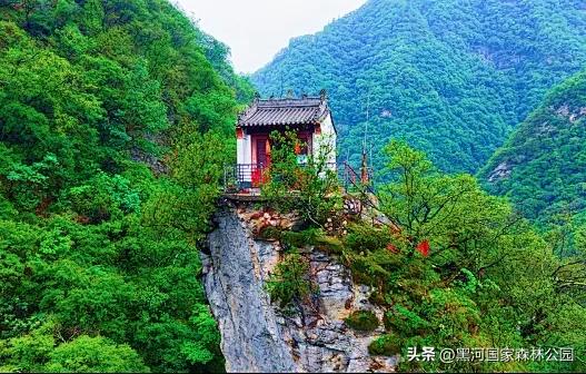 夏季避暑有“凉”方,黑河山水邀你共赴清凉盛宴!