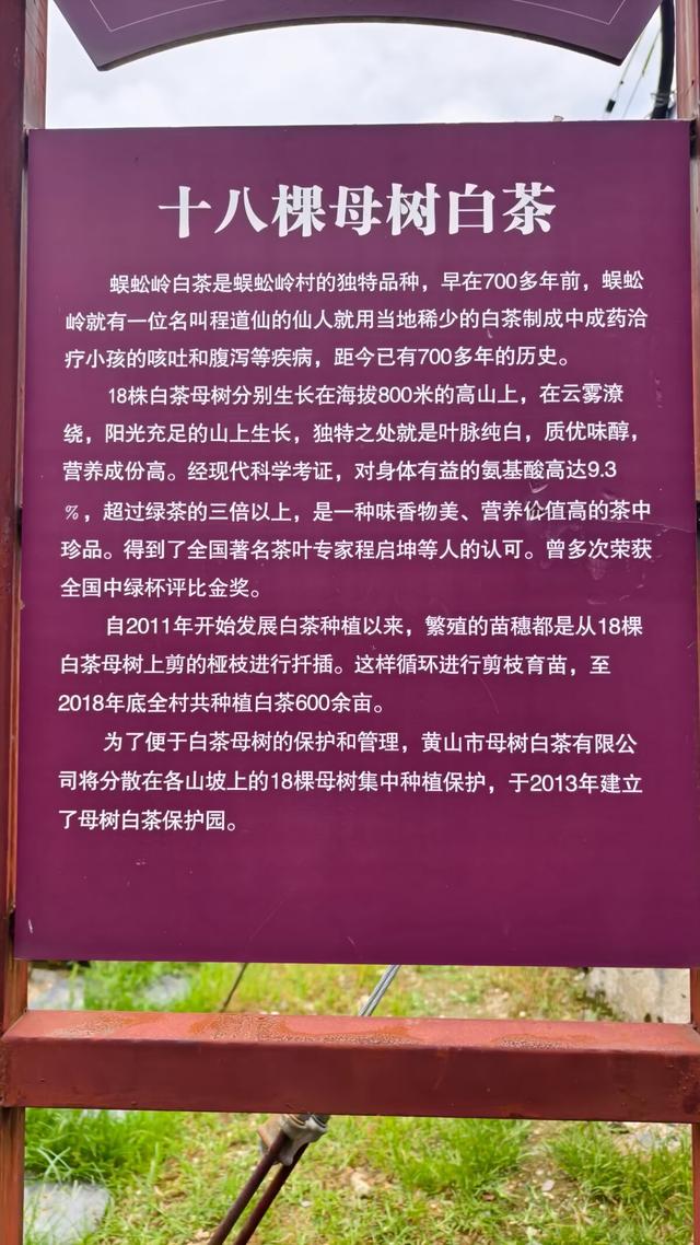 皖浙摩旅二人转——蜈蚣岭篇（下）