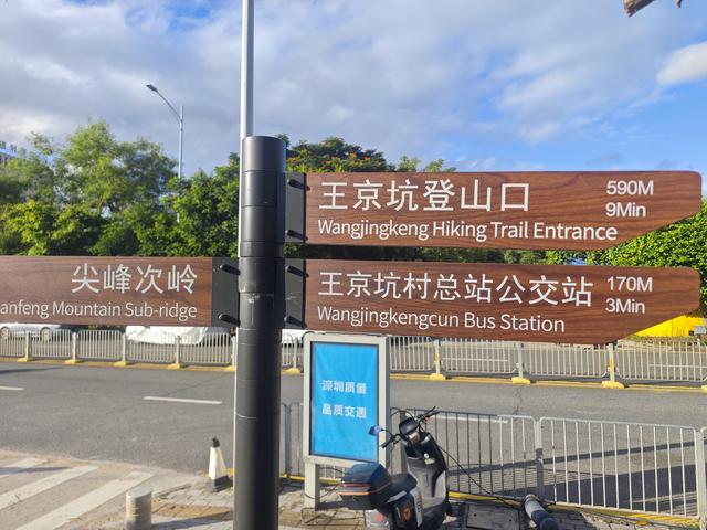 西丽湖绿道，慢慢骑慢慢地欣赏。