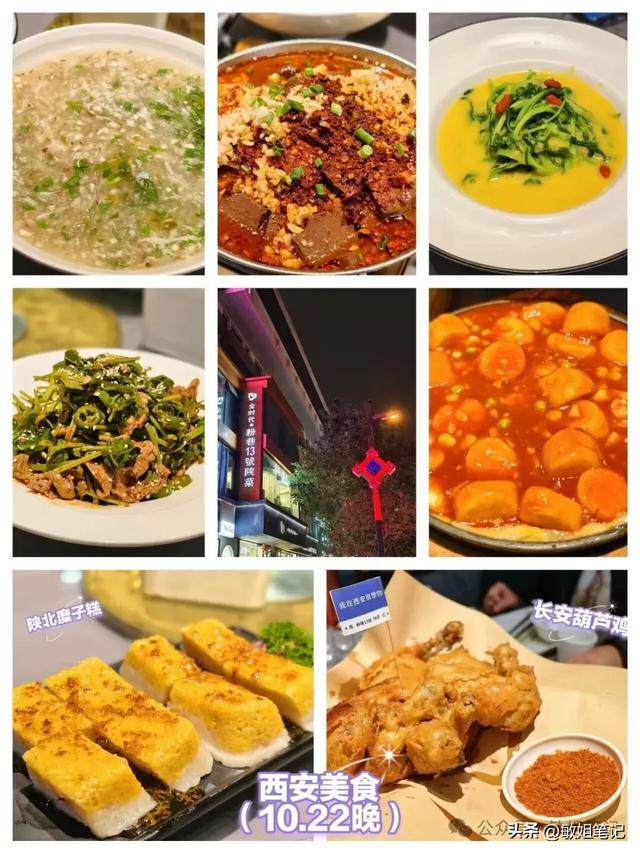 【西安游学之五】城市骑行：盛唐光影与市井烟火的交响