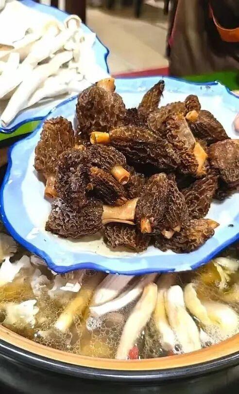 正式通车！全线免费！新挖赏秋天花板小城，绝美彩林不输九寨！地道美食50元吃爽！