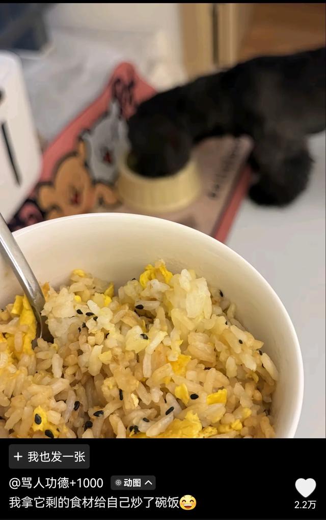 笑死了！女子喂烤肠店老板的狗吃烤肠，老板：那不干净，别给它吃