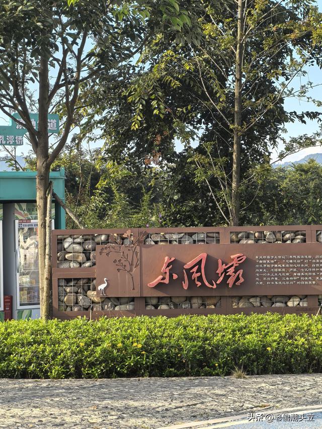 冬天的早上 晒着太阳从大观楼徒步到西山茶马花街 是什么样的感受？