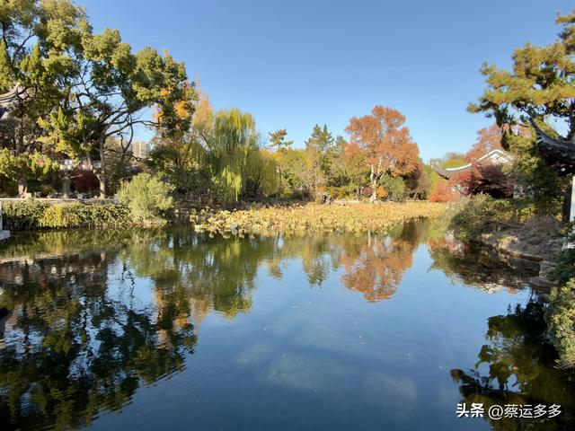 沪上园林古猗园已达颜值巅峰